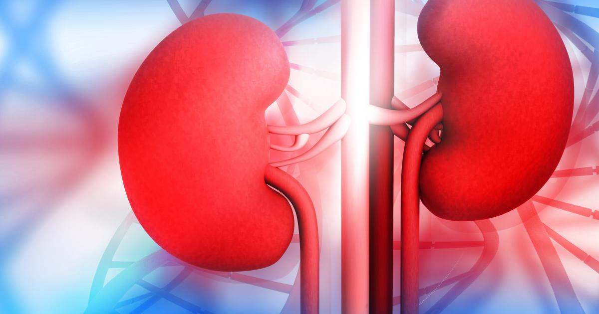 Chronic kidney disease treatment in Faridabad